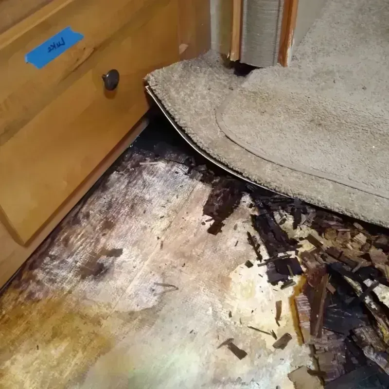 Wood Floor Water Damage in Mohave Valley, AZ